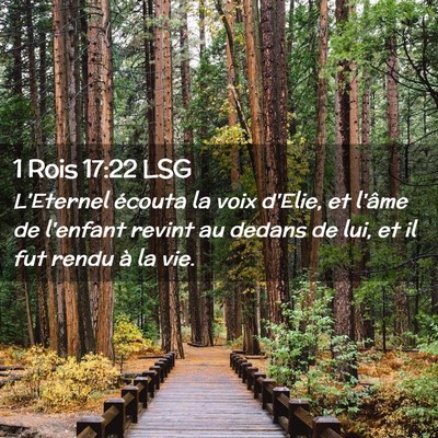 Picture 02 - 1 Rois 17:22 LSG - L'Eternel écouta la voix d'Elie, et l'âme de - Bible Verse Picture