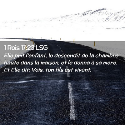 Picture 02 - 1 Rois 17:23 LSG - Elie prit l'enfant, le descendit de la chambre - Bible Verse Picture
