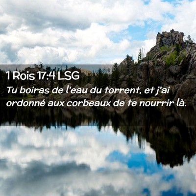 Picture 02 - 1 Rois 17:4 LSG - Tu boiras de l'eau du torrent, et j'ai ordonné - Bible Verse Picture