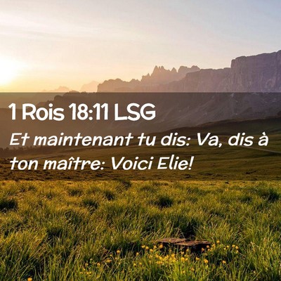 Picture 02 - 1 Rois 18:11 LSG - Et maintenant tu dis: Va, dis à ton maître: - Bible Verse Picture