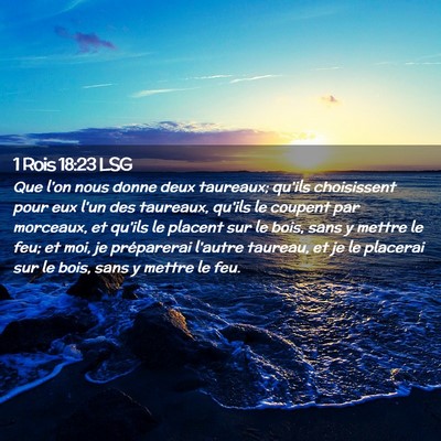 Picture 02 - 1 Rois 18:23 LSG - Que l'on nous donne deux taureaux; qu'ils - Bible Verse Picture