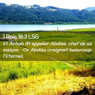 Picture 02 - 1 Rois 18:3 LSG - Et Achab fit appeler Abdias, chef de sa maison. - Bible Verse Picture