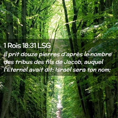 Picture 02 - 1 Rois 18:31 LSG - Il prit douze pierres d'après le nombre des - Bible Verse Picture