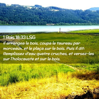 Picture 02 - 1 Rois 18:33 LSG - Il arrangea le bois, coupa le taureau par - Bible Verse Picture