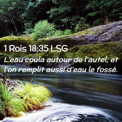 Picture 02 - 1 Rois 18:35 LSG - L'eau coula autour de l'autel, et l'on remplit - Bible Verse Picture
