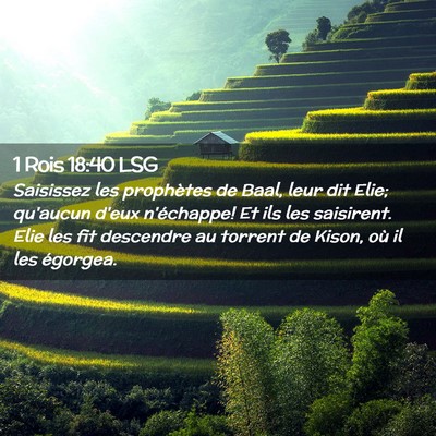 Picture 02 - 1 Rois 18:40 LSG - Saisissez les prophètes de Baal, leur dit Elie; - Bible Verse Picture