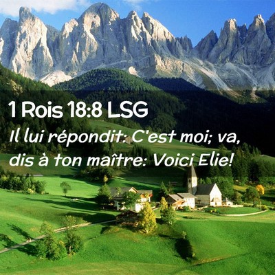 Picture 02 - 1 Rois 18:8 LSG - Il lui répondit: C'est moi; va, dis à ton - Bible Verse Picture