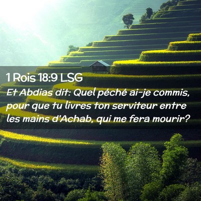Picture 02 - 1 Rois 18:9 LSG - Et Abdias dit: Quel péché ai-je commis, pour - Bible Verse Picture