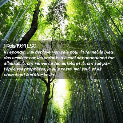Picture 02 - 1 Rois 19:14 LSG - Il répondit: J'ai déployé mon zèle pour - Bible Verse Picture