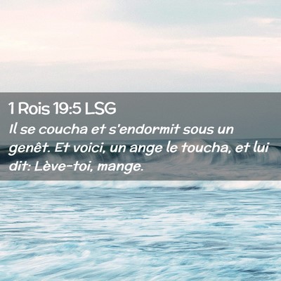 Picture 02 - 1 Rois 19:5 LSG - Il se coucha et s'endormit sous un genêt. Et - Bible Verse Picture