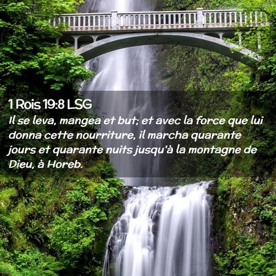 Picture 02 - 1 Rois 19:8 LSG - Il se leva, mangea et but; et avec la force que - Bible Verse Picture