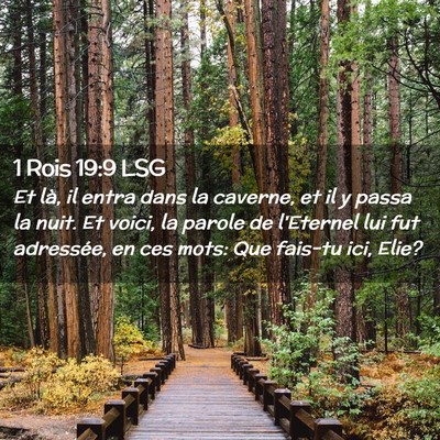 Picture 02 - 1 Rois 19:9 LSG - Et là, il entra dans la caverne, et il y passa - Bible Verse Picture
