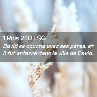 Picture 02 - 1 Rois 2:10 LSG - David se coucha avec ses pères, et il fut - Bible Verse Picture