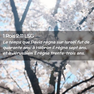 Picture 02 - 1 Rois 2:11 LSG - Le temps que David régna sur Israël fut de - Bible Verse Picture