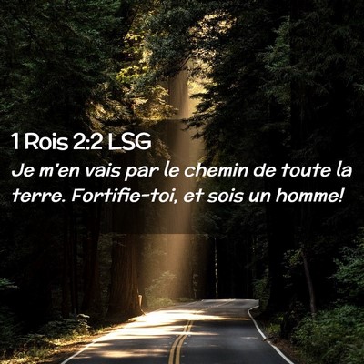 Picture 02 - 1 Rois 2:2 LSG - Je m'en vais par le chemin de toute la terre. - Bible Verse Picture