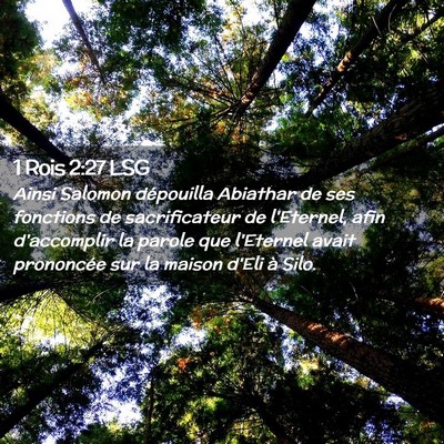 Picture 02 - 1 Rois 2:27 LSG - Ainsi Salomon dépouilla Abiathar de ses - Bible Verse Picture
