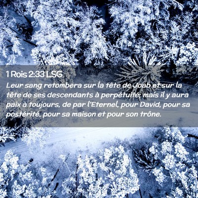 Picture 02 - 1 Rois 2:33 LSG - Leur sang retombera sur la tête de Joab et sur - Bible Verse Picture