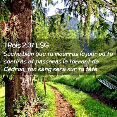 Picture 02 - 1 Rois 2:37 LSG - Sache bien que tu mourras le jour où tu sortiras - Bible Verse Picture