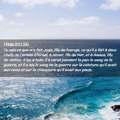 Picture 02 - 1 Rois 2:5 LSG - Tu sais ce que m'a fait Joab, fils de Tseruja, ce - Bible Verse Picture