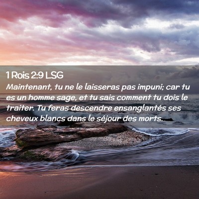 Picture 02 - 1 Rois 2:9 LSG - Maintenant, tu ne le laisseras pas impuni; car tu - Bible Verse Picture