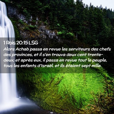 Picture 02 - 1 Rois 20:15 LSG - Alors Achab passa en revue les serviteurs des - Bible Verse Picture