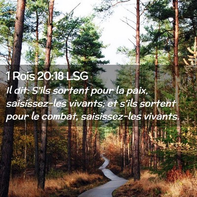 Picture 02 - 1 Rois 20:18 LSG - Il dit: S'ils sortent pour la paix, saisissez-les - Bible Verse Picture
