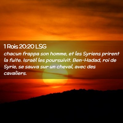 Picture 02 - 1 Rois 20:20 LSG - chacun frappa son homme, et les Syriens prirent - Bible Verse Picture