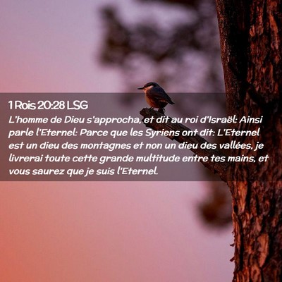 Picture 02 - 1 Rois 20:28 LSG - L'homme de Dieu s'approcha, et dit au roi - Bible Verse Picture