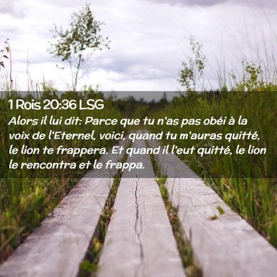 Picture 02 - 1 Rois 20:36 LSG - Alors il lui dit: Parce que tu n'as pas obéi à - Bible Verse Picture