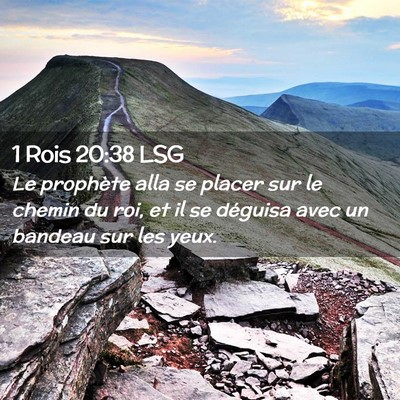 Picture 02 - 1 Rois 20:38 LSG - Le prophète alla se placer sur le chemin du roi, - Bible Verse Picture