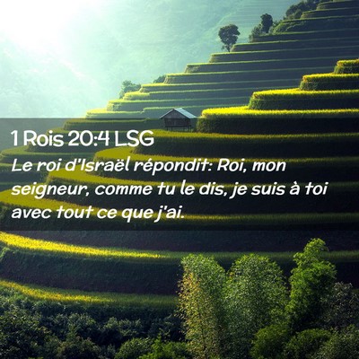 Picture 02 - 1 Rois 20:4 LSG - Le roi d'Israël répondit: Roi, mon seigneur, - Bible Verse Picture
