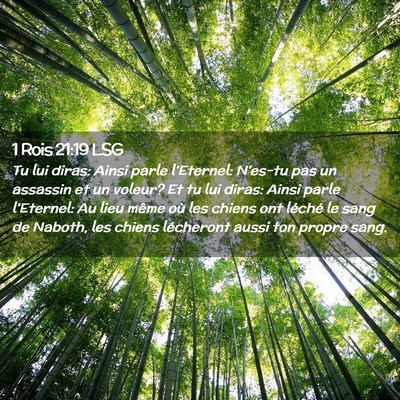 Picture 02 - 1 Rois 21:19 LSG - Tu lui diras: Ainsi parle l'Eternel: N'es-tu pas - Bible Verse Picture