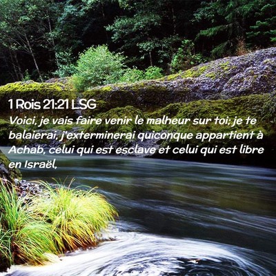 Picture 02 - 1 Rois 21:21 LSG - Voici, je vais faire venir le malheur sur toi; je - Bible Verse Picture