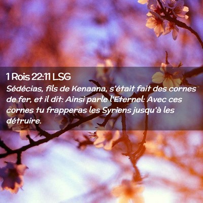 Picture 02 - 1 Rois 22:11 LSG - Sédécias, fils de Kenaana, s'était fait des - Bible Verse Picture