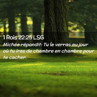 Picture 02 - 1 Rois 22:25 LSG - Michée répondit: Tu le verras au jour où tu - Bible Verse Picture