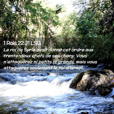Picture 02 - 1 Rois 22:31 LSG - Le roi de Syrie avait donné cet ordre aux - Bible Verse Picture