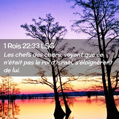Picture 02 - 1 Rois 22:33 LSG - Les chefs des chars, voyant que ce n'était pas - Bible Verse Picture