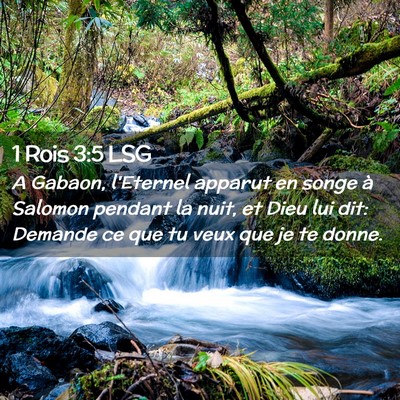 Picture 02 - 1 Rois 3:5 LSG - A Gabaon, l'Eternel apparut en songe à Salomon - Bible Verse Picture