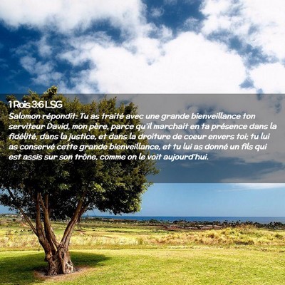 Picture 02 - 1 Rois 3:6 LSG - Salomon répondit: Tu as traité avec une grande - Bible Verse Picture