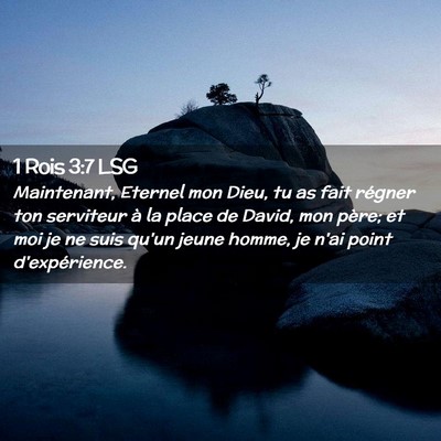 Picture 02 - 1 Rois 3:7 LSG - Maintenant, Eternel mon Dieu, tu as fait régner - Bible Verse Picture