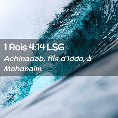 Picture 02 - 1 Rois 4:14 LSG - Achinadab, fils d'Iddo, à - Bible Verse Picture