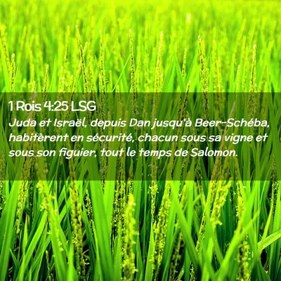 Picture 02 - 1 Rois 4:25 LSG - Juda et Israël, depuis Dan jusqu'à - Bible Verse Picture