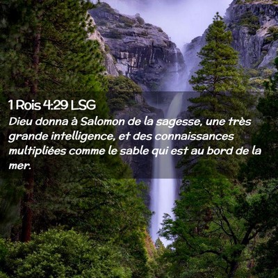 Picture 02 - 1 Rois 4:29 LSG - Dieu donna à Salomon de la sagesse, une très - Bible Verse Picture