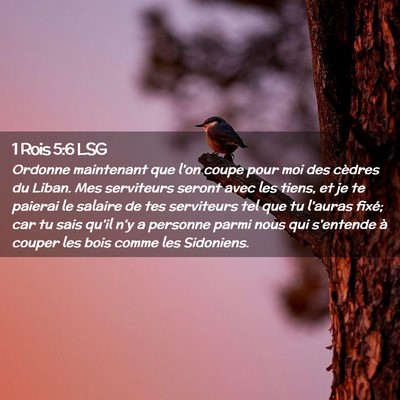 Picture 02 - 1 Rois 5:6 LSG - Ordonne maintenant que l'on coupe pour moi des - Bible Verse Picture