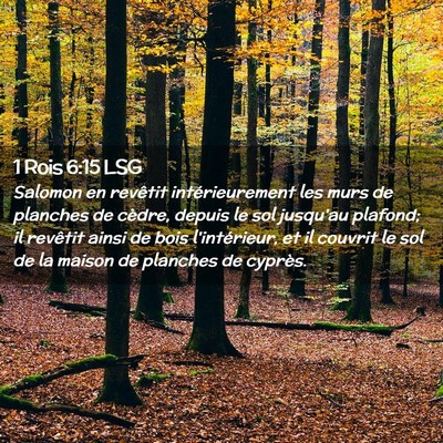 Picture 02 - 1 Rois 6:15 LSG - Salomon en revêtit intérieurement les murs de - Bible Verse Picture
