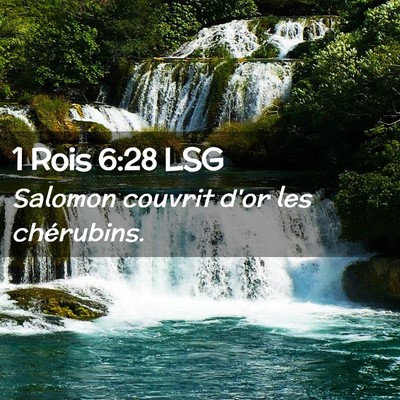 Picture 02 - 1 Rois 6:28 LSG - Salomon couvrit d'or les - Bible Verse Picture