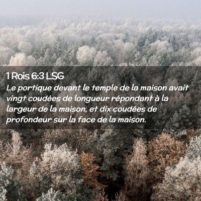 Picture 02 - 1 Rois 6:3 LSG - Le portique devant le temple de la maison avait - Bible Verse Picture