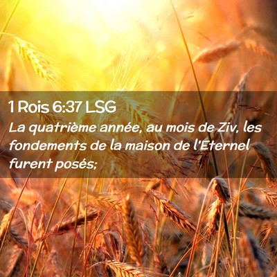 Picture 02 - 1 Rois 6:37 LSG - La quatrième année, au mois de Ziv, les - Bible Verse Picture