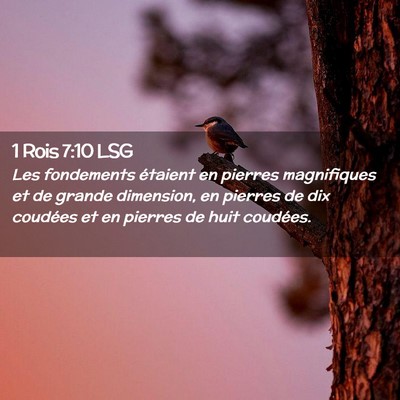 Picture 02 - 1 Rois 7:10 LSG - Les fondements étaient en pierres magnifiques et - Bible Verse Picture