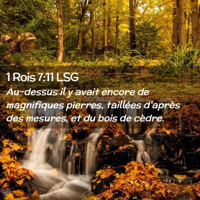 Picture 02 - 1 Rois 7:11 LSG - Au-dessus il y avait encore de magnifiques - Bible Verse Picture